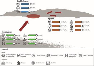 What Will the Future Bring for Biological Invasions on Islands? An Expert-Based Assessment